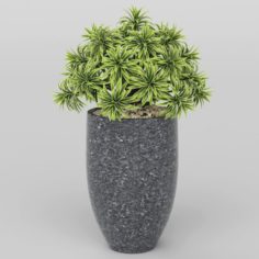 Vray Ready Potted Plant 3D Model
