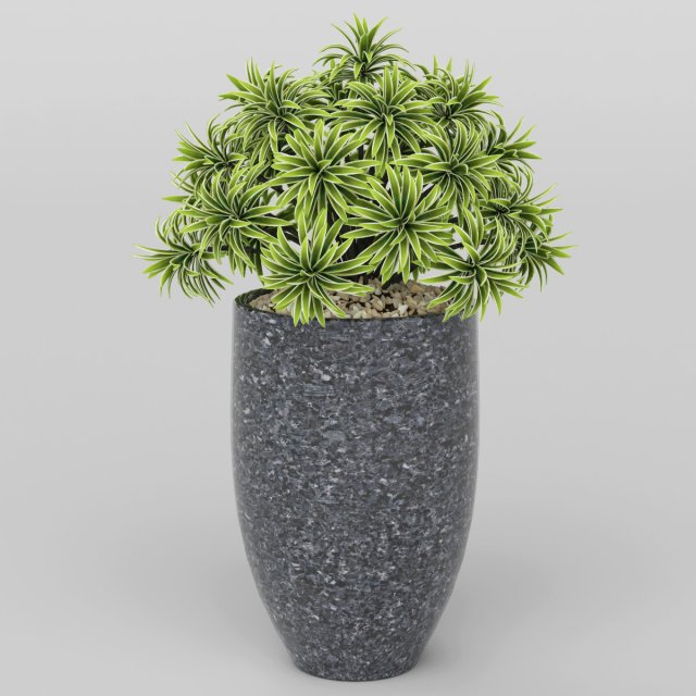 Vray Ready Potted Plant 3D Model