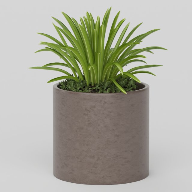 Vray Ready Potted Plant 3D Model