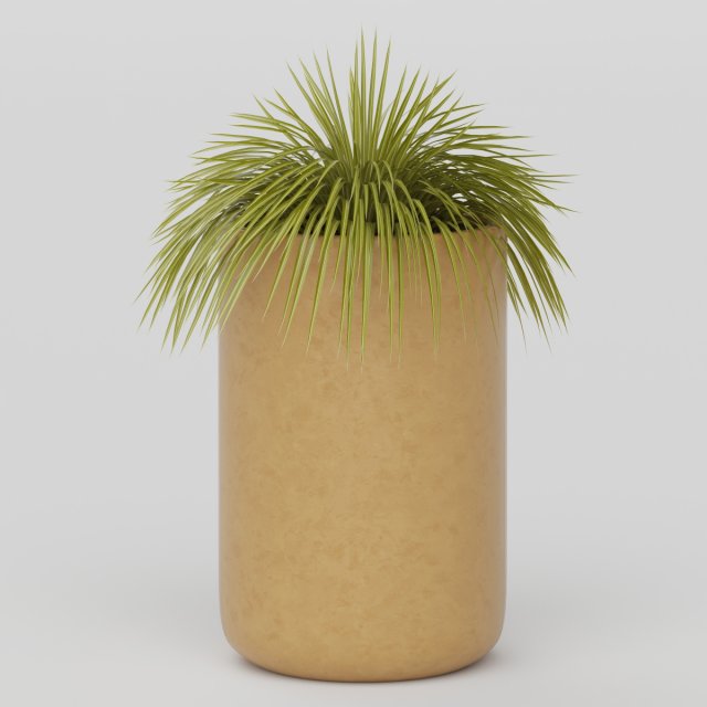 Vray Ready Potted Plant 3D Model