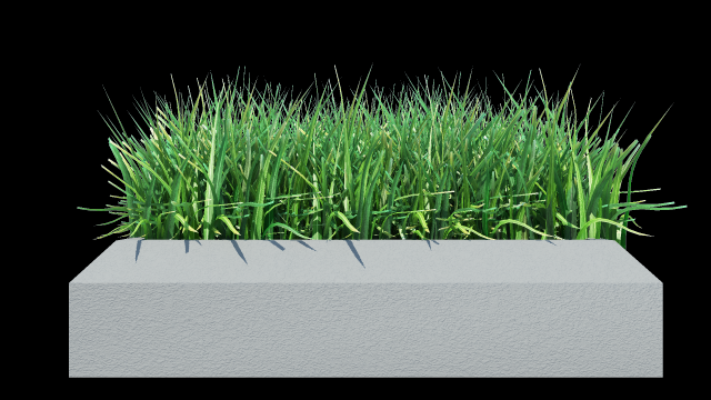 Grass Free 3D Model