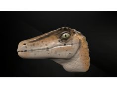 Velociraptor 3D Print Model