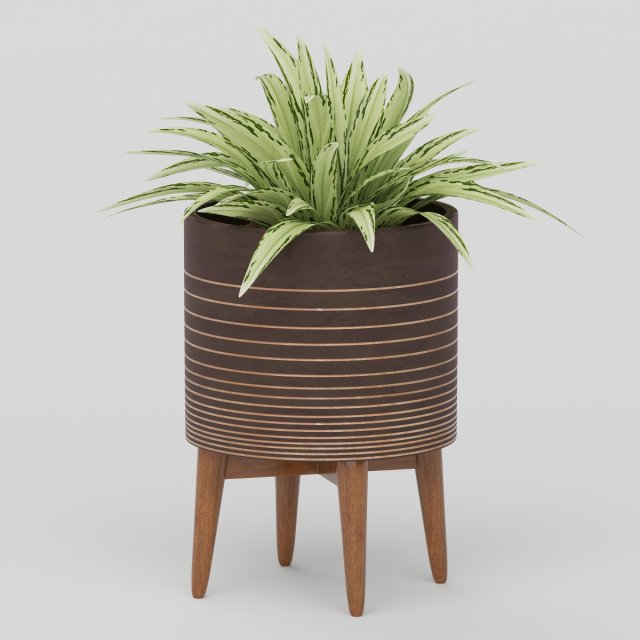 Vray Ready Potted Plant 3D Model