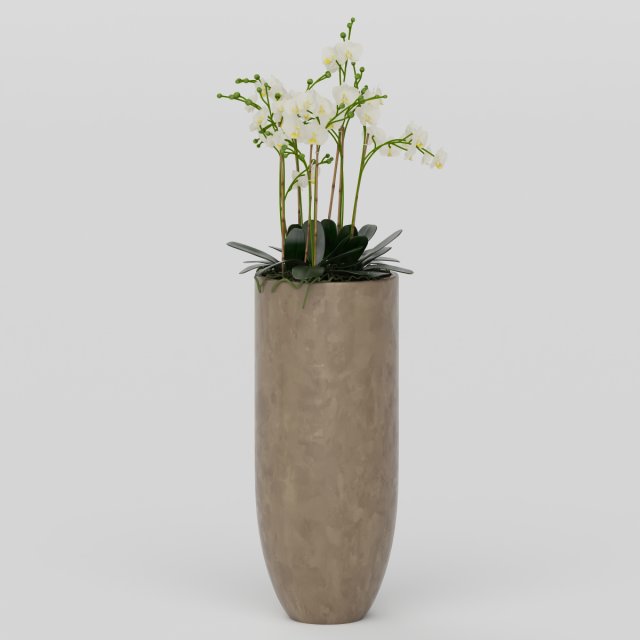 Vray Ready Potted Plant 3D Model