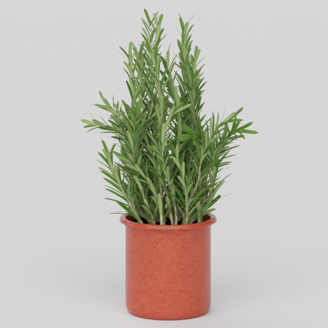 Vray Ready Potted Plant 3D Model