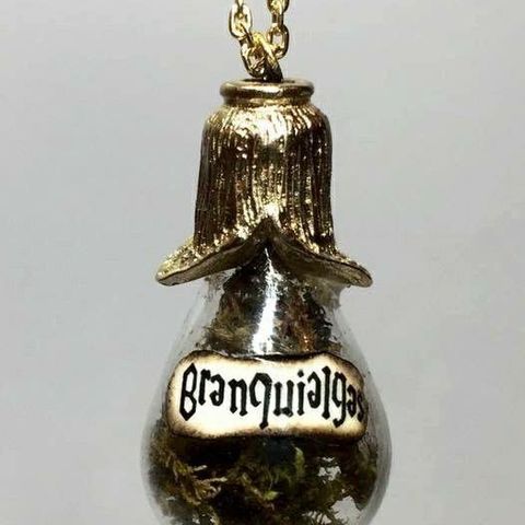 Gillyweed Potion (Harry Potter) 3D Print Model