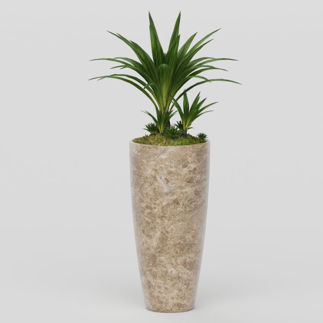 Vray Ready Potted Plant 3D Model