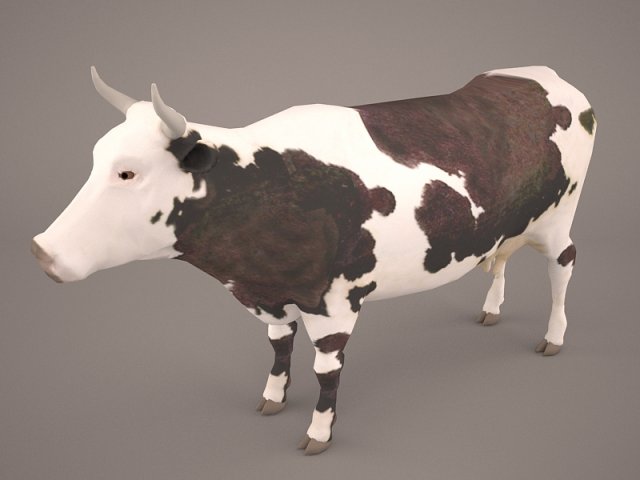 Cow 3D Model 3D Model
