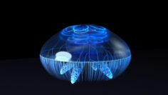 Jellyfish – UE4 Octane Support 3D Model