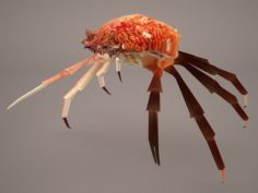 Tasmanian Giant Crab 3D Model
