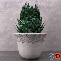 Aloe in Vase 3D Model