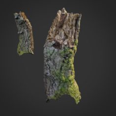 3d scanned nature forest stuff 007 3D Model