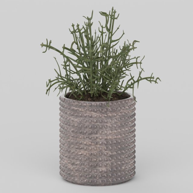 Vray Ready Potted Plant 3D Model