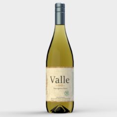 White Wine Set 3D Model