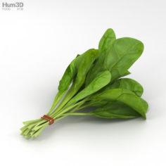 Spinach 3D Model