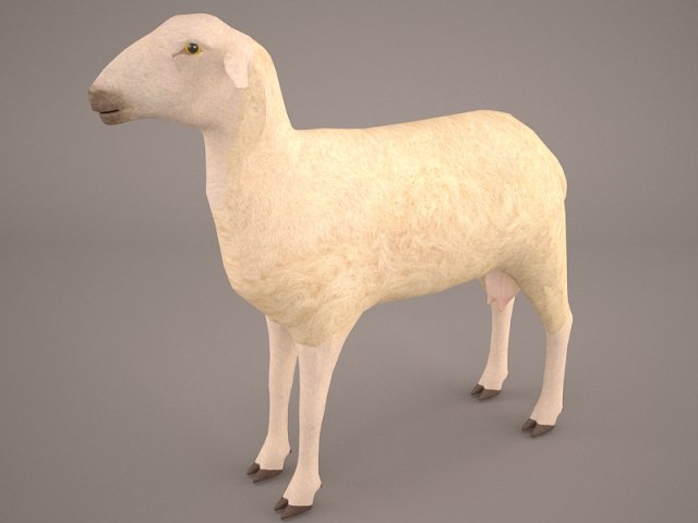 Sheep 3D Model