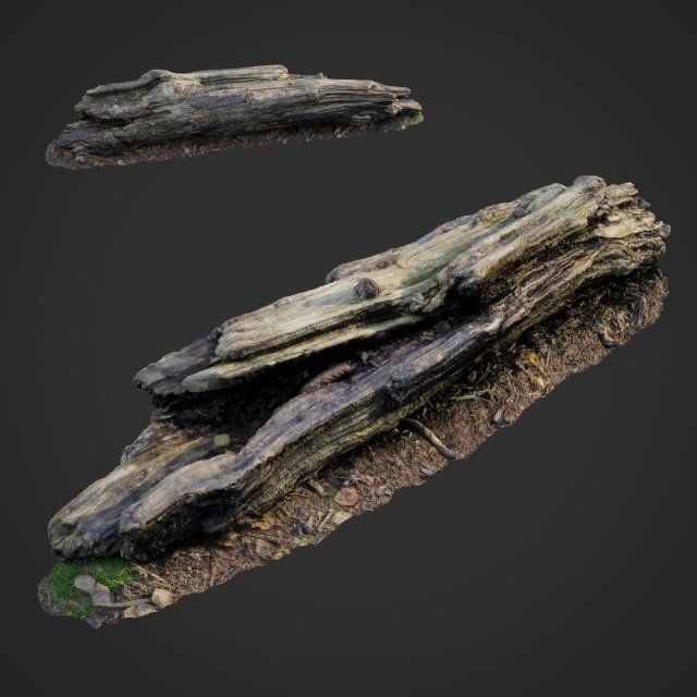 3d scanned nature forest stuff 009 3D Model