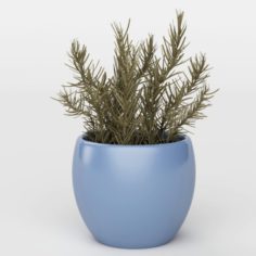 Vray Ready Potted Plant 3D Model