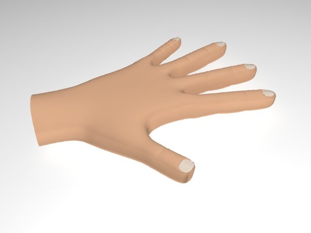 Male Hand 3D Model