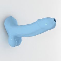 Penis 3D Model