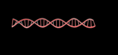 Dna 3D Model
