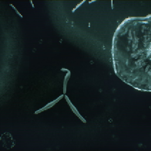 EXP 002: Bacteria						 Free 3D Model