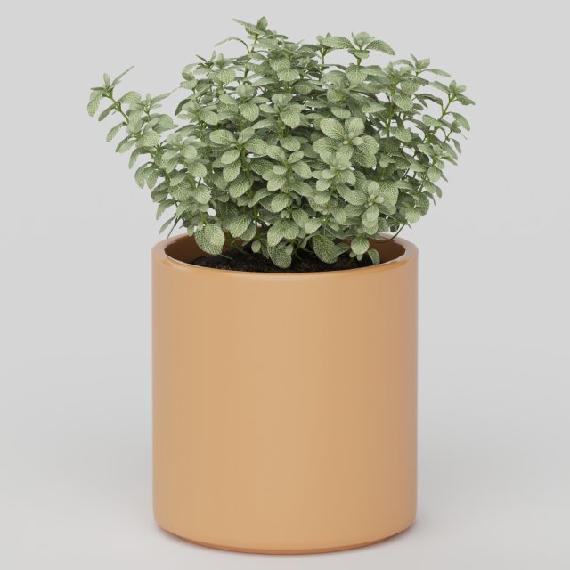 Vray Ready Potted Plant 3D Model