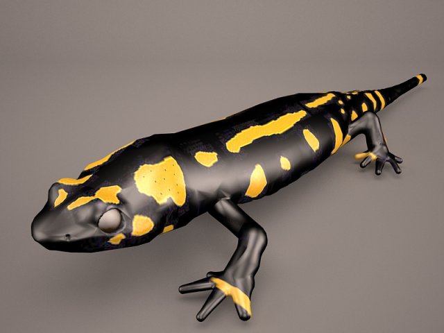 Komodo Dragon 3D Model