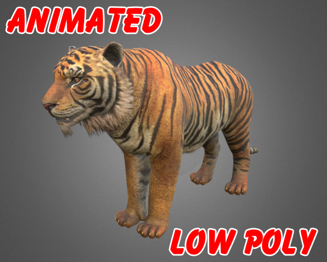 Low poly Tiger Animated – Game Ready 3D Model