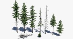 Conifer Pine Tree Pack 01 3D Model