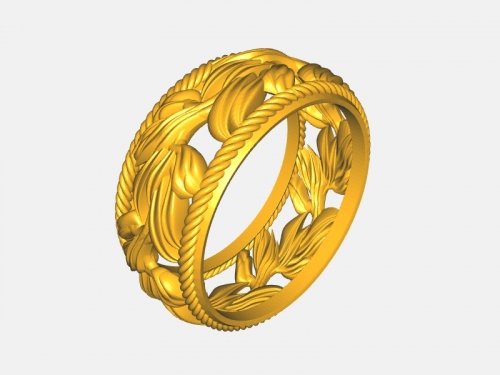 Ring Q 343 3D Model