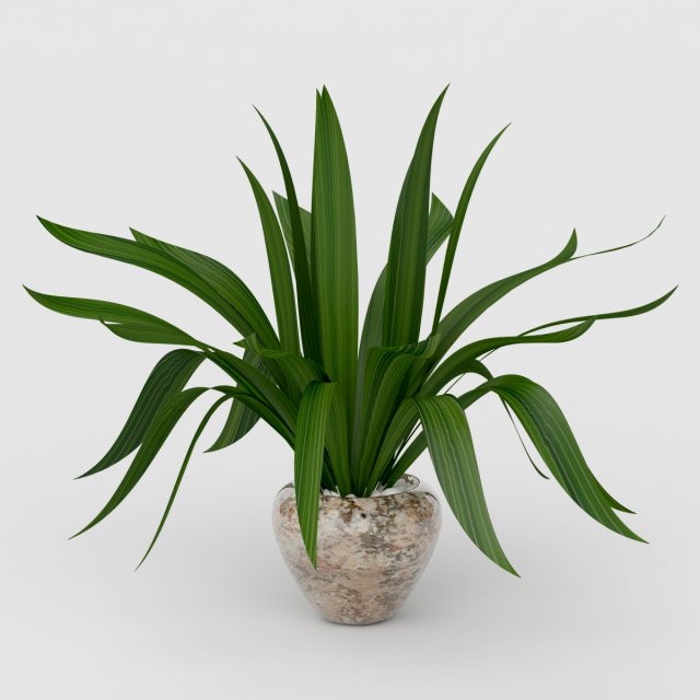 Vray Ready Potted Plant 3D Model