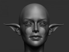 Elf Head 3D Model