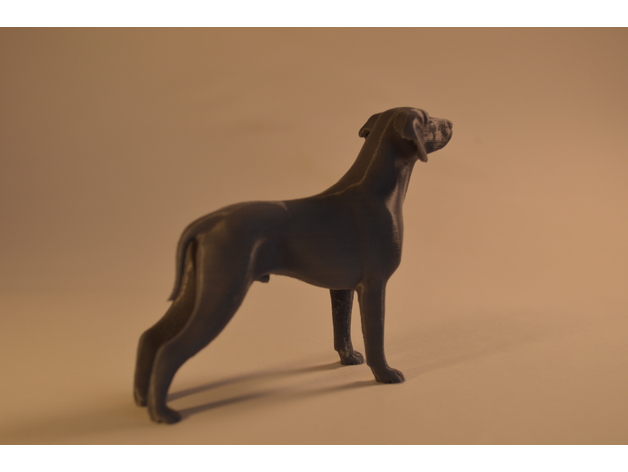 Dog 3D Print Model