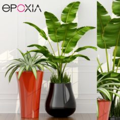 Epoxia planters 02 3D Model