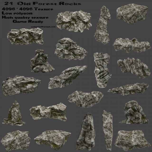 Old forest rock 3D Model