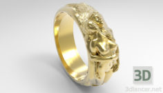 3D-Model 
Ring