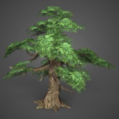 Game Ready Low Poly Tree 12 3D Model