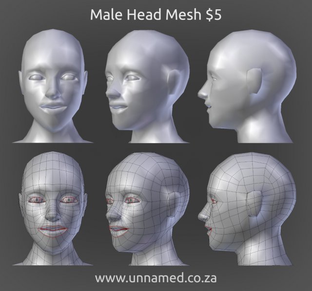 Male Head Model 3D Model