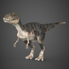 Realistic Dinosaur Tyrannosaurus 3D Model
