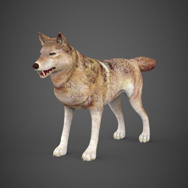 Game Ready Wolf 3D Model