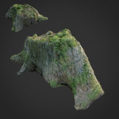 3d scanned nature tree stump 008 3D Model