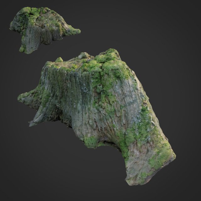 3d scanned nature tree stump 008 3D Model