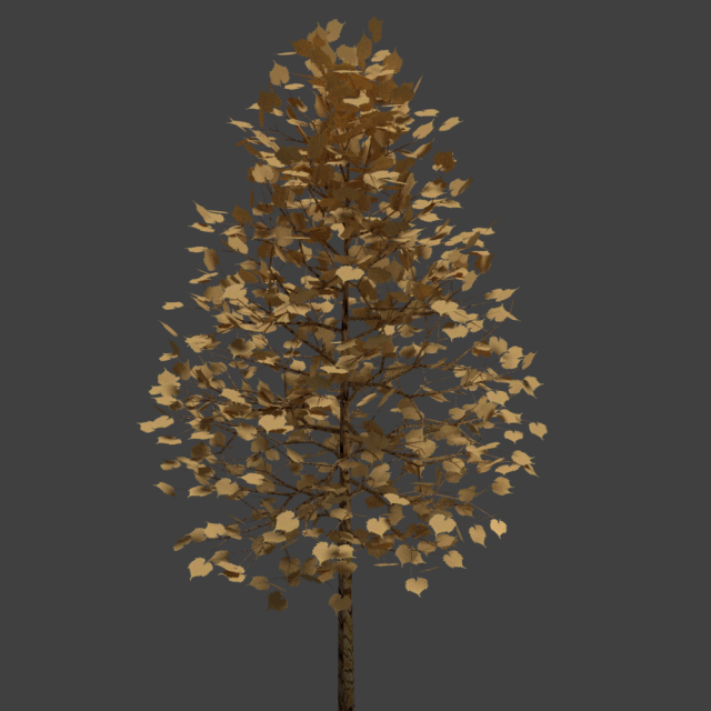 Realistic tree 3D Model