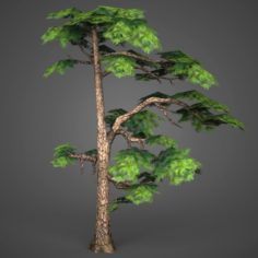 Game Ready Low Poly Tree 15 3D Model