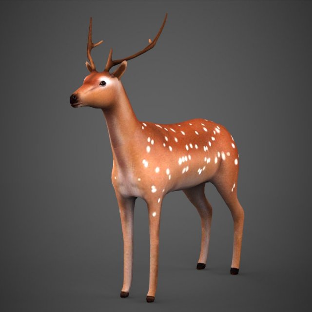 Game Ready Low Poly Deer 3D Model