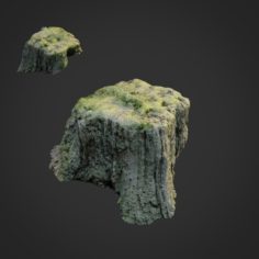 3d scanned nature tree stump 009 3D Model