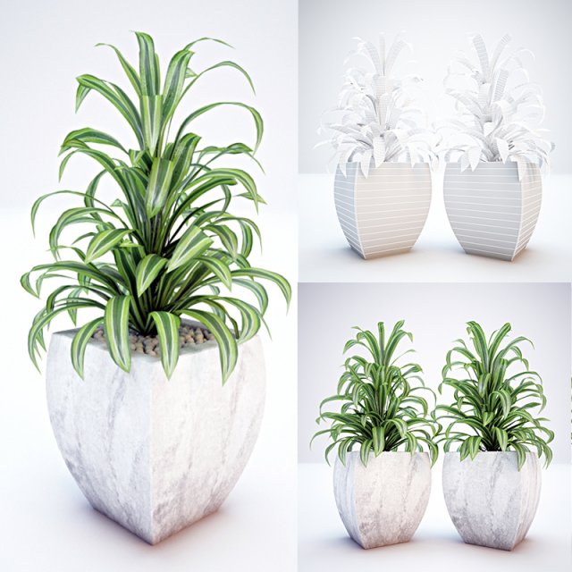 Plant and Vase for Exterior 3D Model