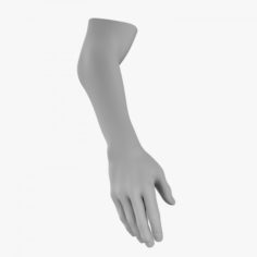 Hand Men 001 3D Model