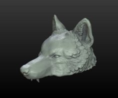 Wolf Cap 3D Model